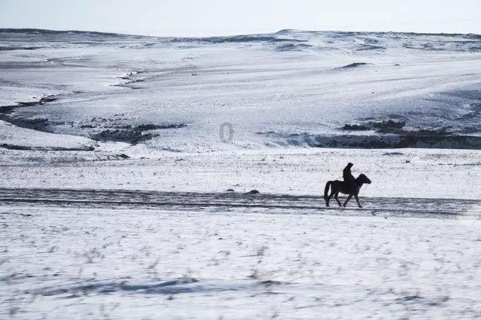《在暴雪时分》定档后,另一部小甜剧也低调定档
